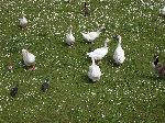 2006-0605-1139-05.jpg